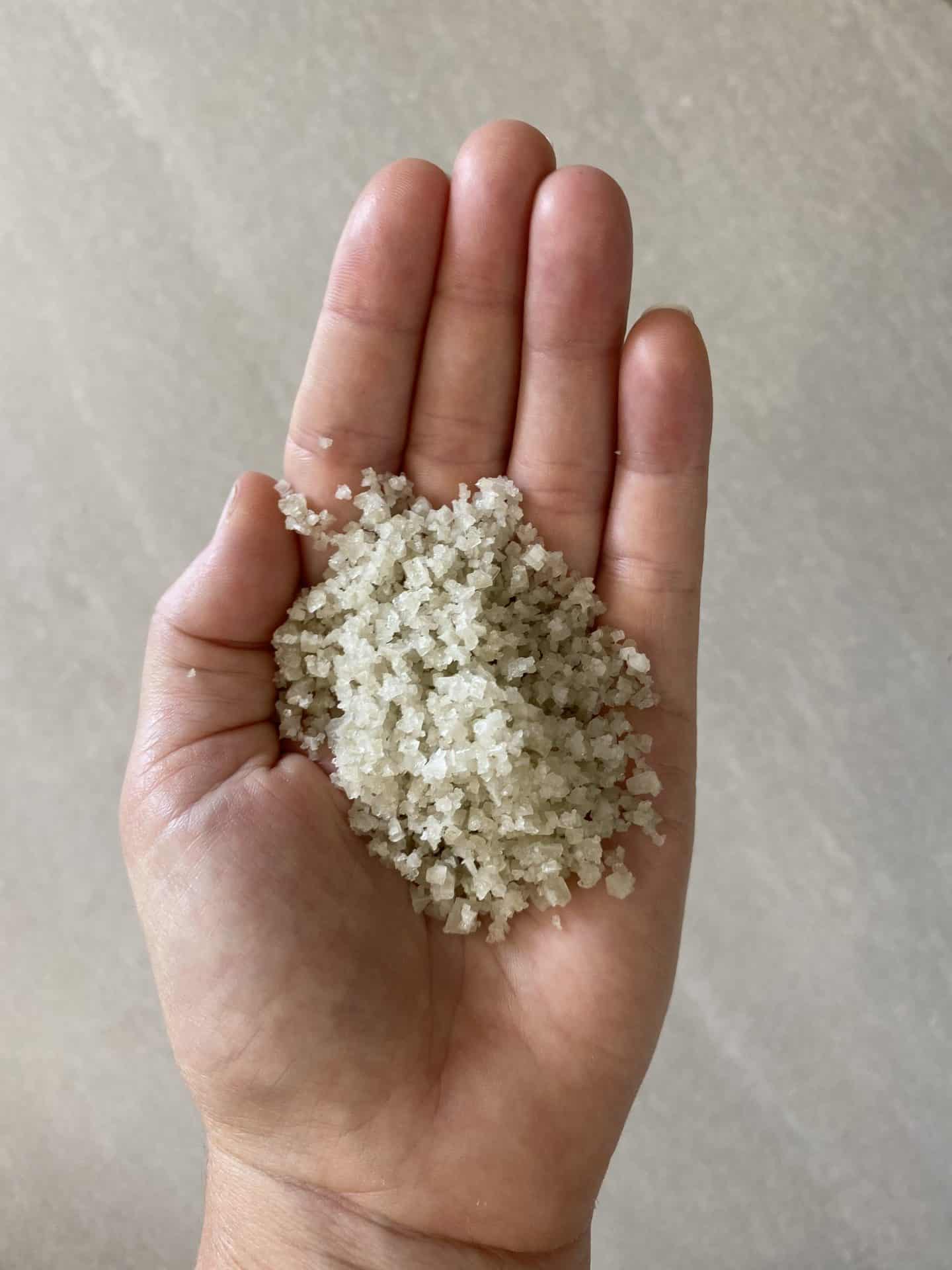 Worth Your Salt - Salt of the Earth 